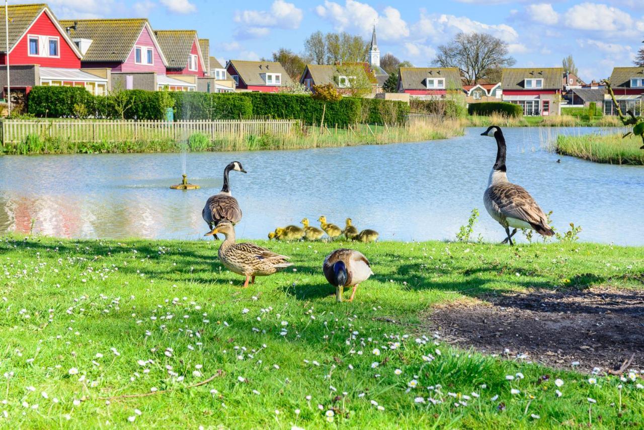 Frejus 116 - Kustpark Village Scaldia Hoofdplaat Dış mekan fotoğraf